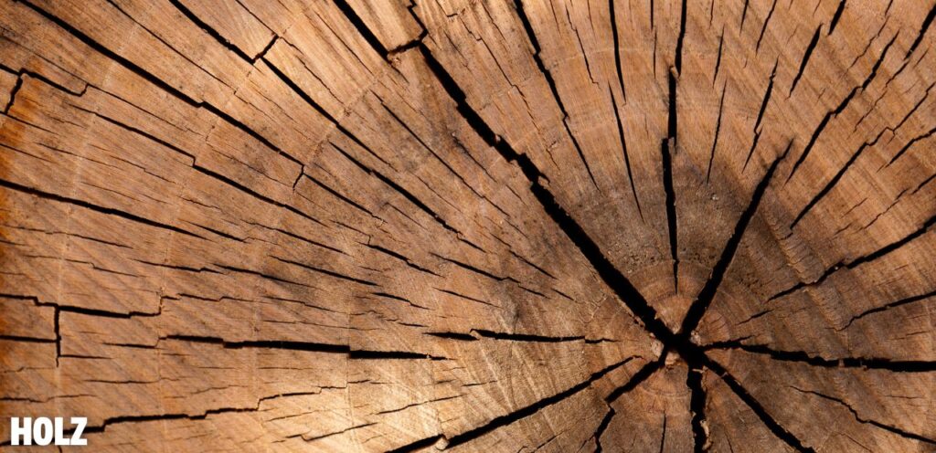Holz
