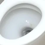 Urinstein im WC entfernen