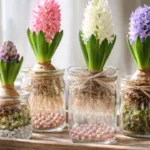 Hyazinthen im Glas mit Moos und Glasperlen als stilvolle Frühlingsdeko