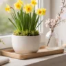 Fensterbank Deko im April mit Narzissen, Glasvase und Holztablett im Tageslicht