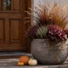 Herbstdeko für den Hauseingang mit bepflanztem Kübel, Kürbissen und Laterne vor einer Holzhaustür.