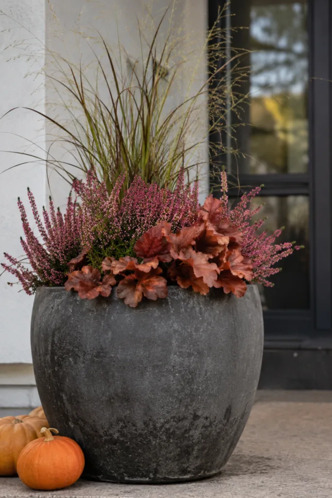5 wunderschöne Ideen für deine Herbstdeko am Hauseingang Herbstdeko für den Hauseingang mit bepflanztem Kübel, Heide, Purpurglöckchen, Ziergras und Kürbissen.