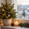 Weihnachtsdeko für die Fensterbank mit kleinem Tannenbaum, Lichtern, Kerze und natürlichen Zweigen.